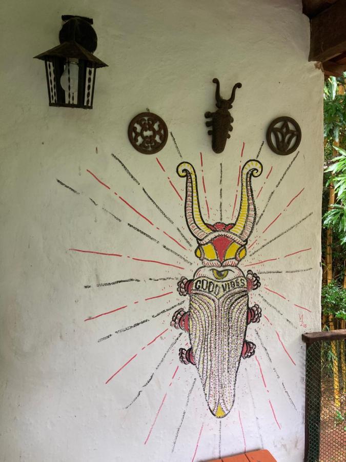 Sitio Macaubas Do Moinho Villa Alto Paraíso de Goiás Exteriör bild